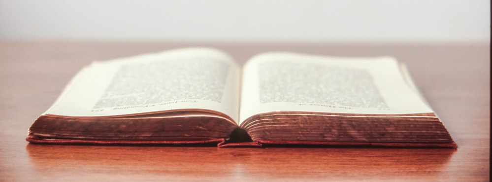 i will do only what I can do book